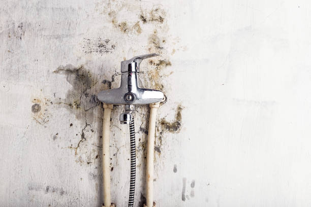 Best Affordable Mold Removal  in Martinez, GA