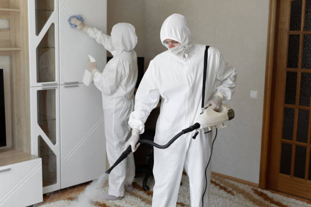 Certified Mold Removal in Martinez, GA