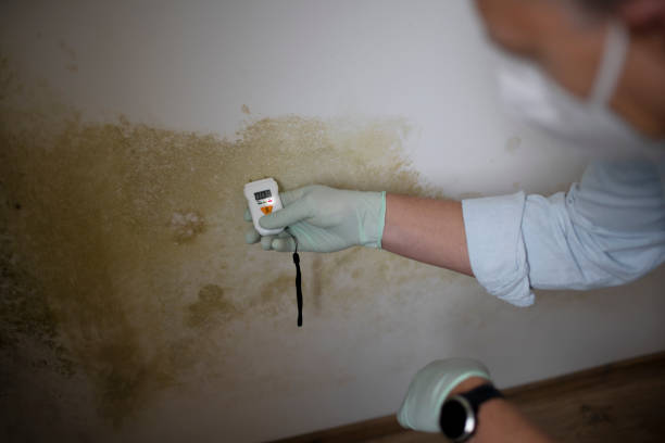 Best Residential Mold Removal  in Martinez, GA