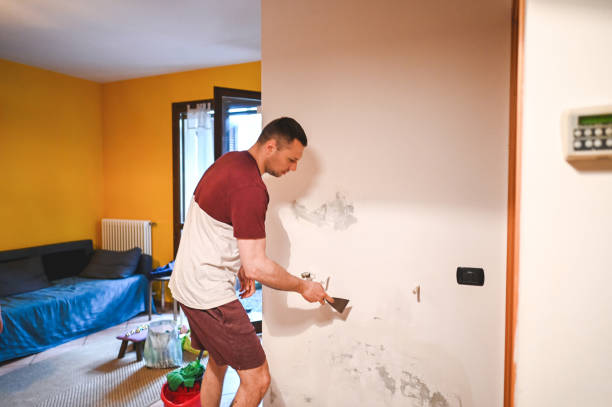 Home Mold Removal in Martinez, GA