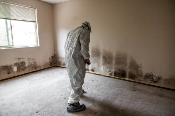 Best Home Mold Removal  in Martinez, GA