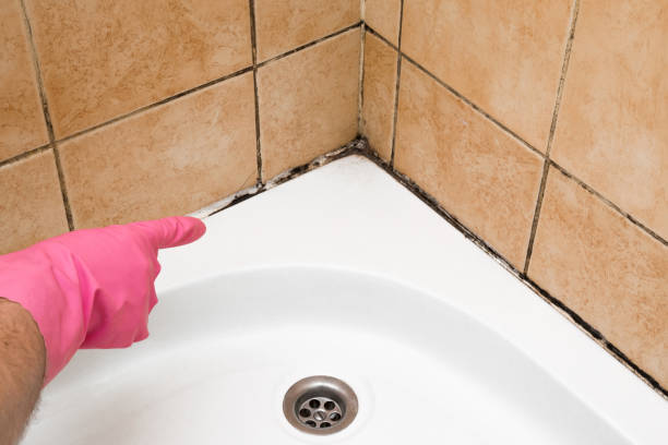 Best Mold Removal Company Near Me  in Martinez, GA